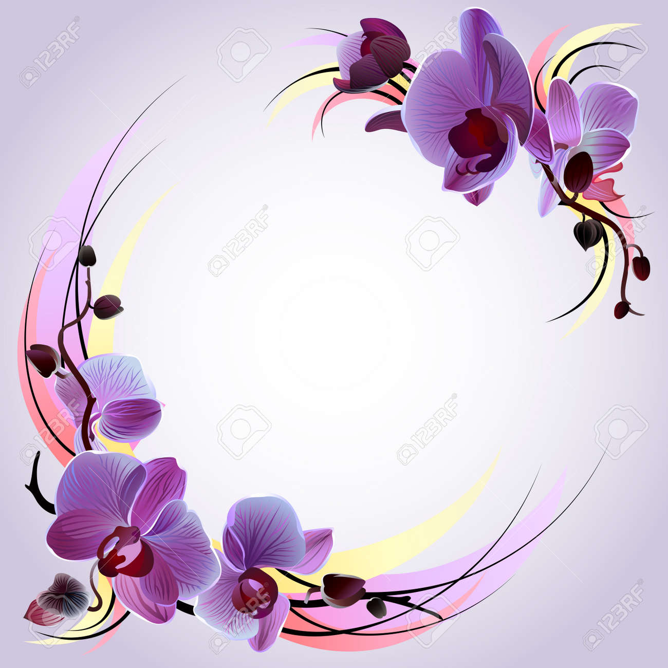 Blue Orchid Vector