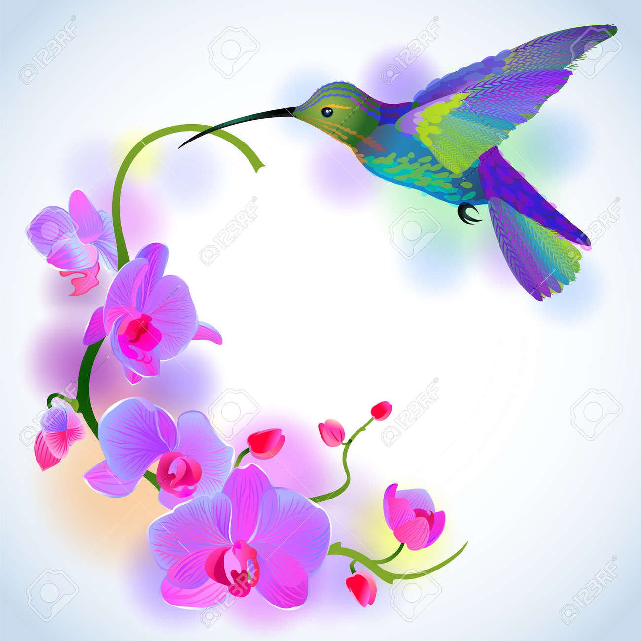 Blue Orchid Vector Blue Orchid Vector