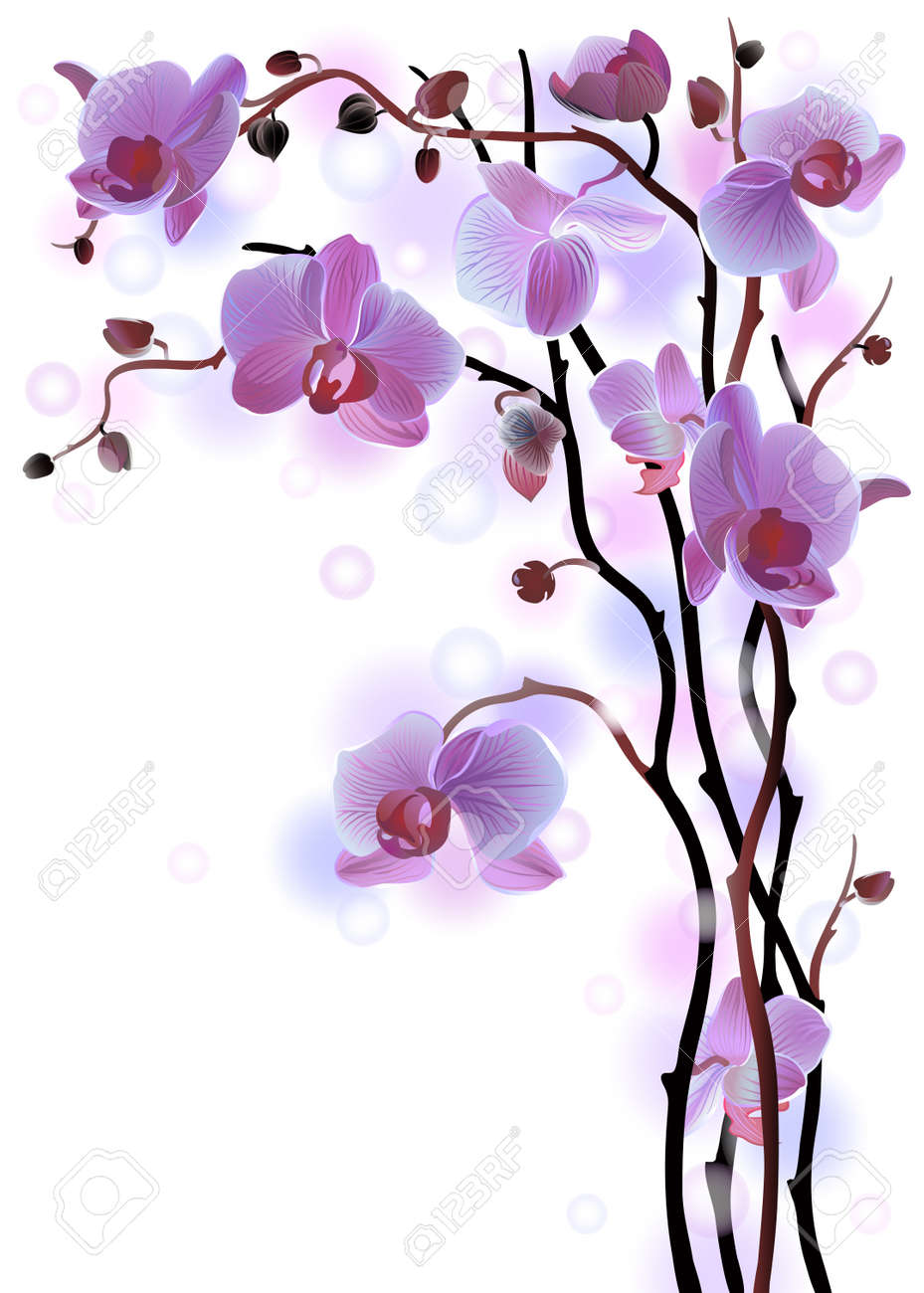 Blue Orchid Vector