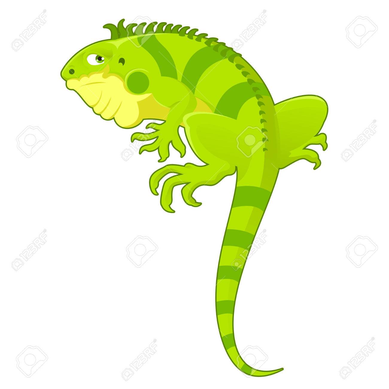 iguana vector