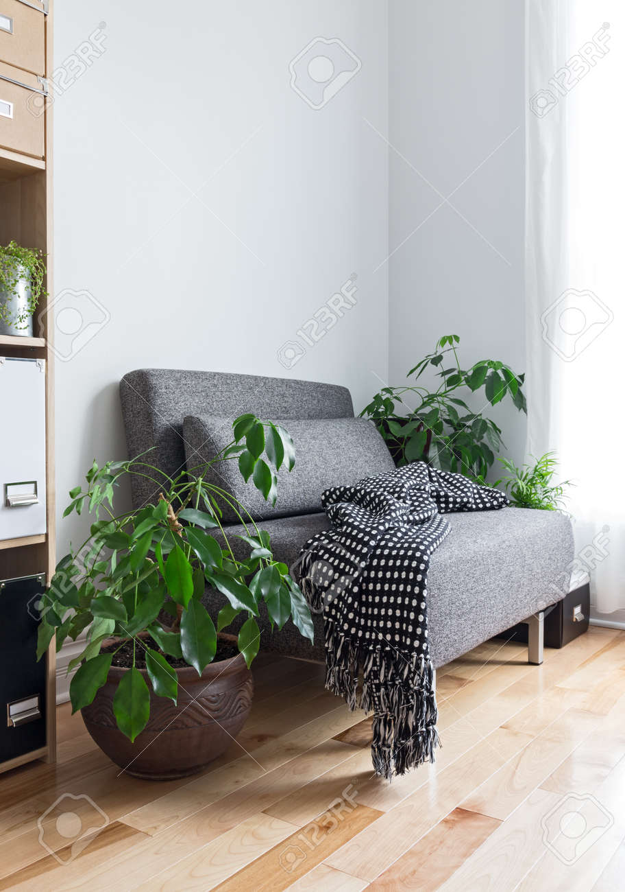 Woonkamer met comfortabele fauteuil, boekenkast en groene planten ...