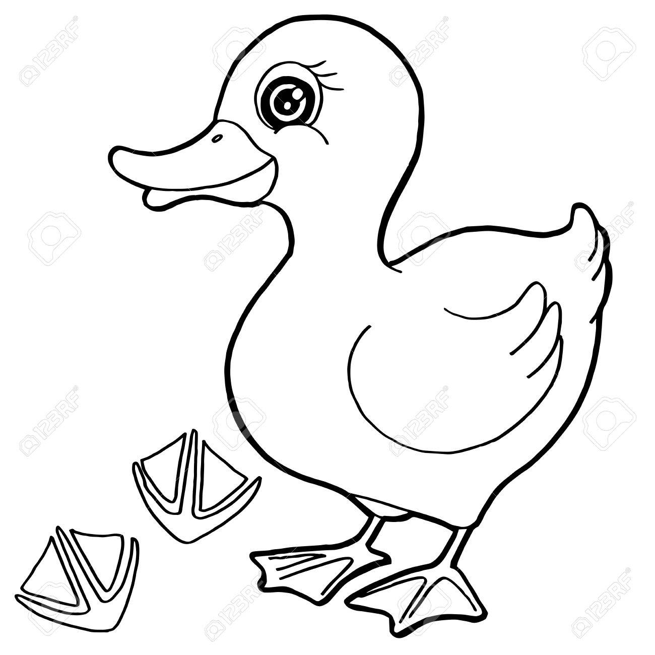 Clip Art Paw Print Coloring Page paw print coloring pages eassume com duck with vector royalty free cliparts