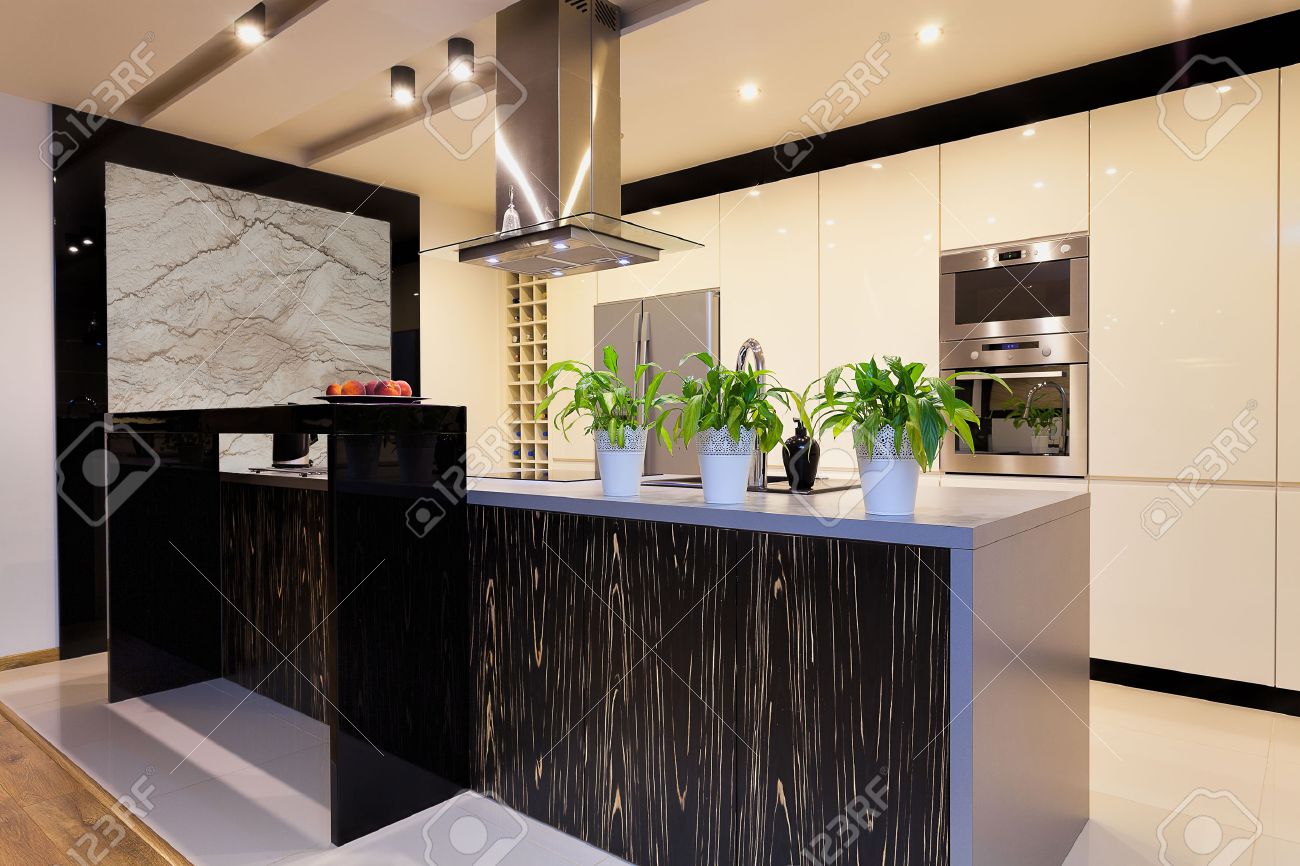Appartement urbain mobilier de cuisine avec comptoir de bar noir ...