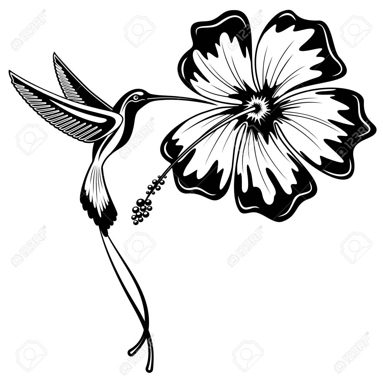 30555911-Hummingbird-and-Hibiscus-Tattoo-Stock-Vector.jpg