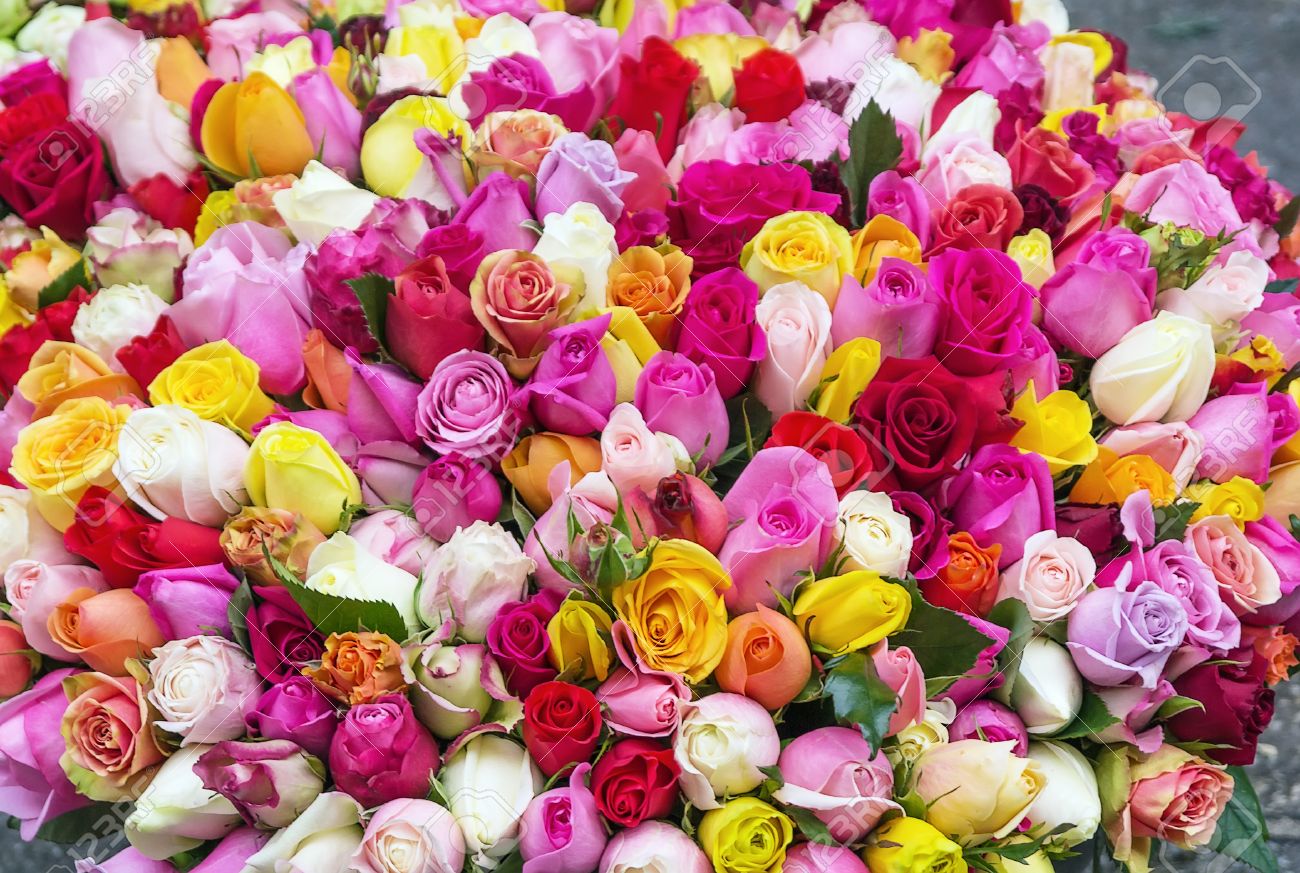 24644313-tr-s-gros-bouquet-de-roses-multicolores-Banque-d'images.jpg