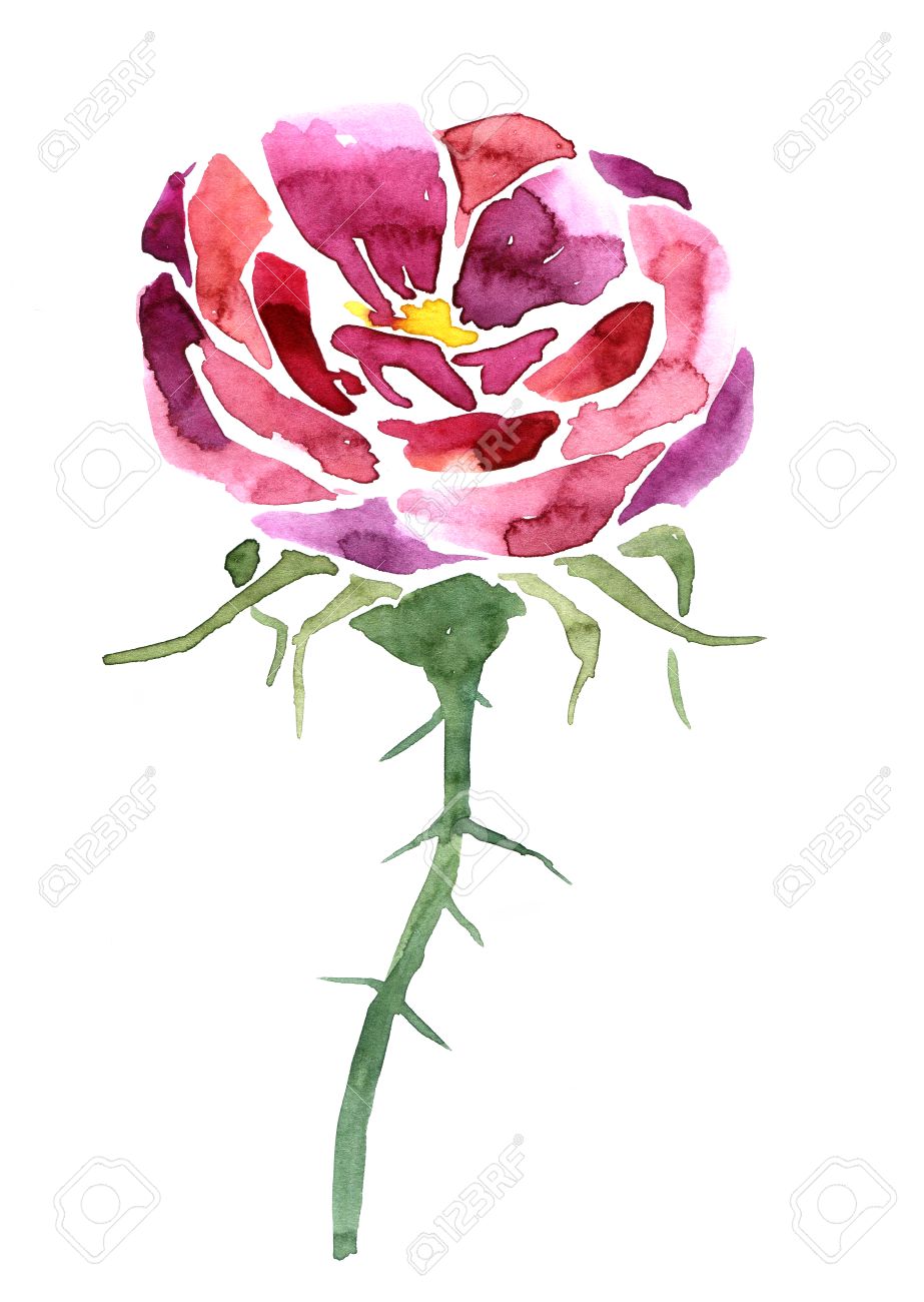 Pink Rose Drawing