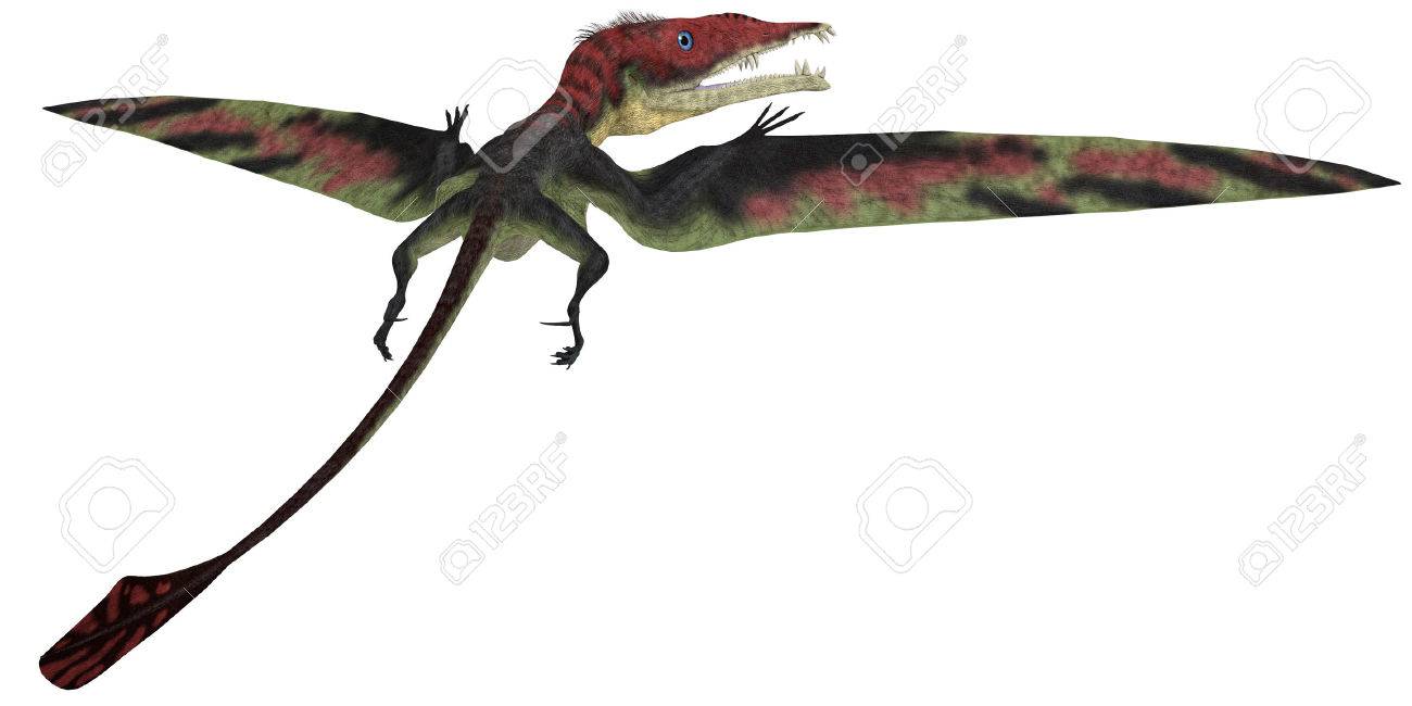 10 Animales prehistoricos que habitaron la tierra P.2