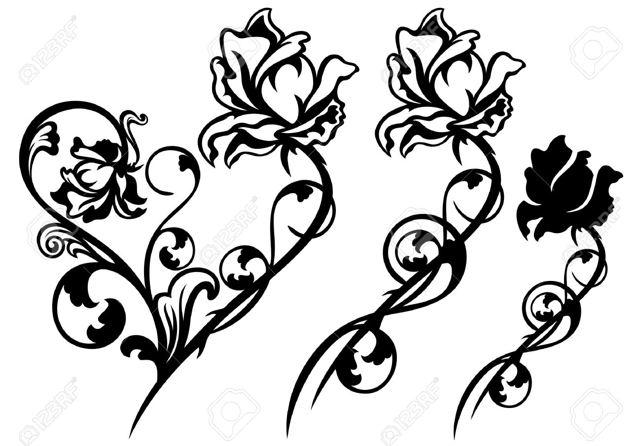 Black And White Rose With Stem Black And White Rose With Stem