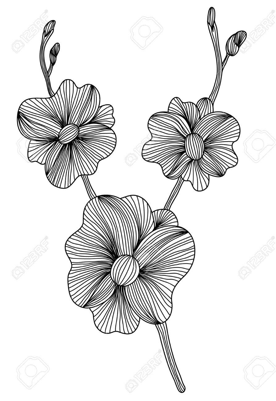 Black Orchid Flower Tattoo Black Orchid Flower Tattoo