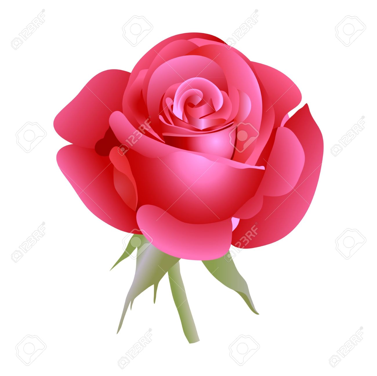 Single Pink Rose Clip Art