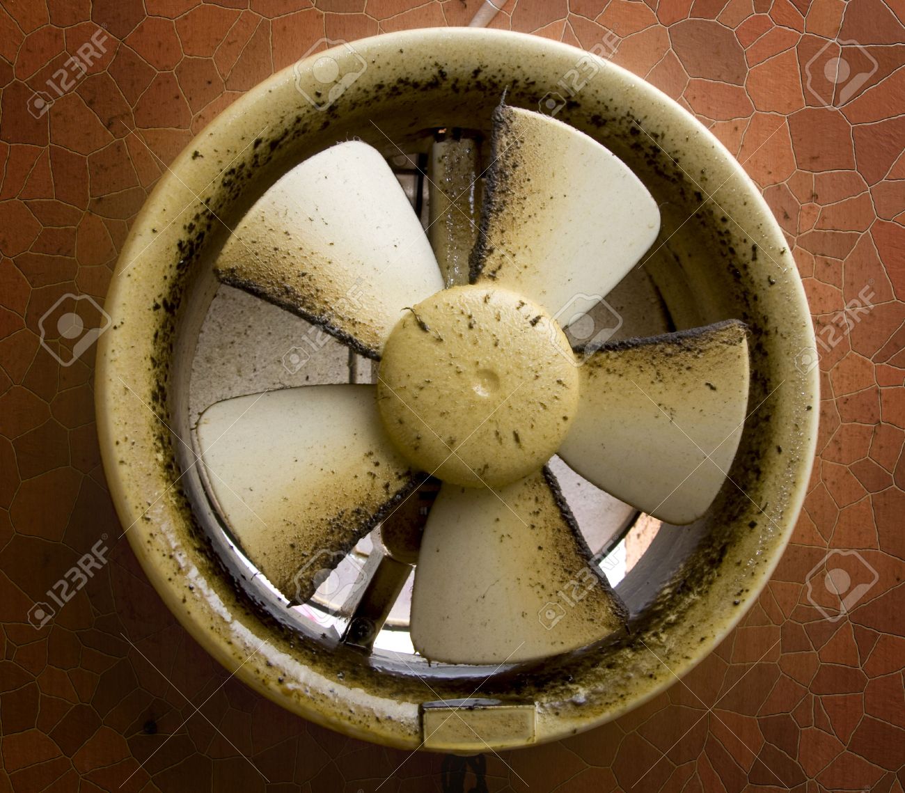 Kitchen Wall Exhaust Fan Design 4moltqa Kitchen Wall Exhaust Fan Design Ideas 1yellowpage
