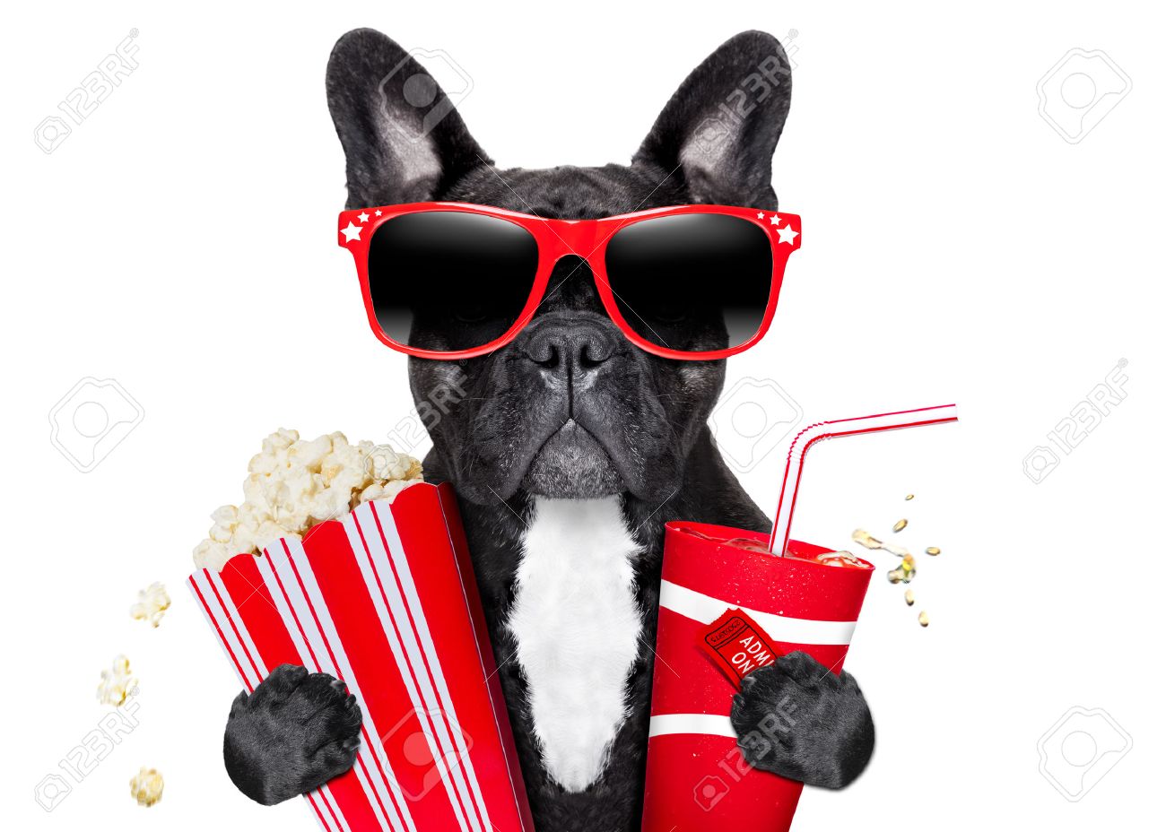 Worksheet Going To The Movies dog going to the movies with soda and glasses stock photo picture glasses