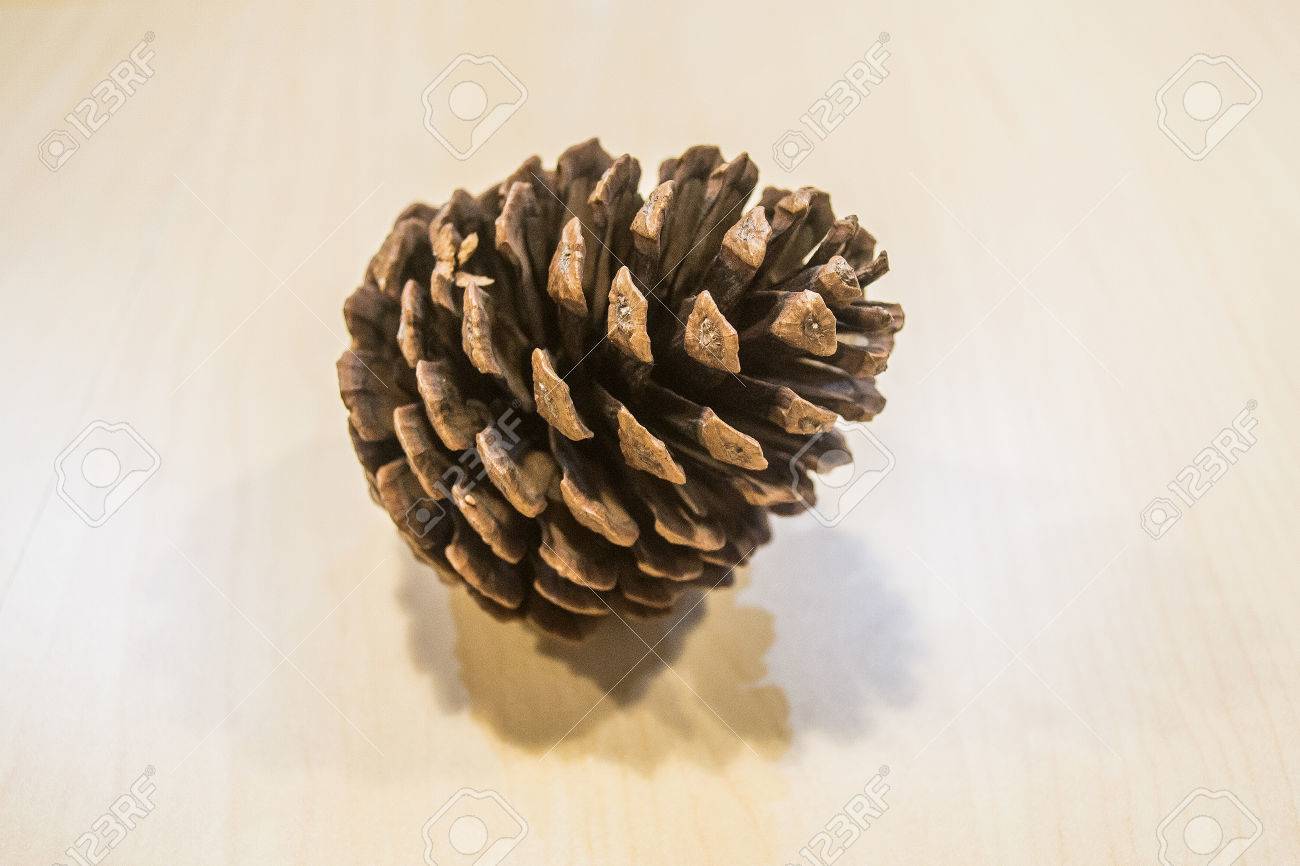 stock photo well dried pine cone home decoration stuff