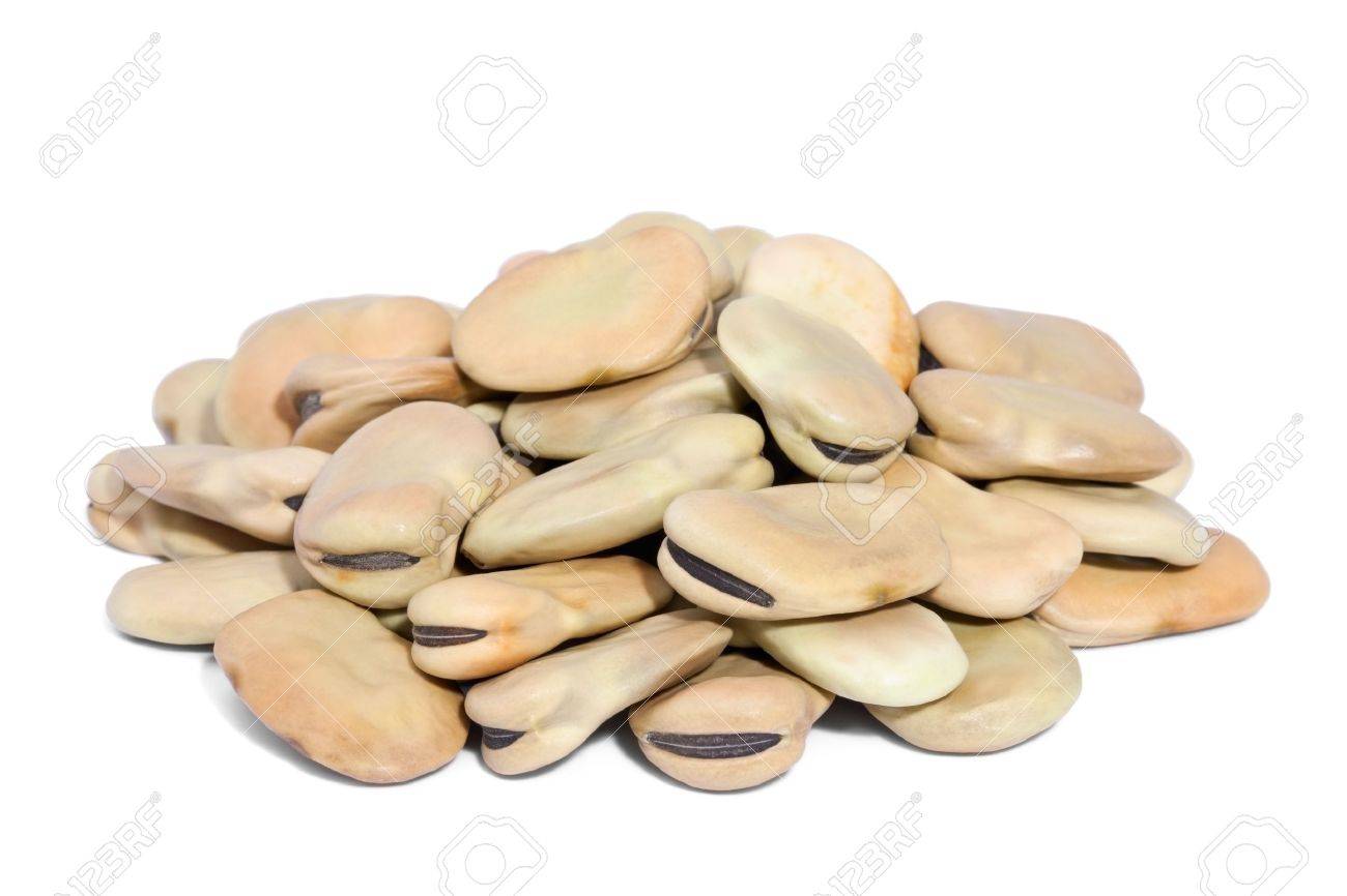 نتيجة بحث الصور عن Broad Beans