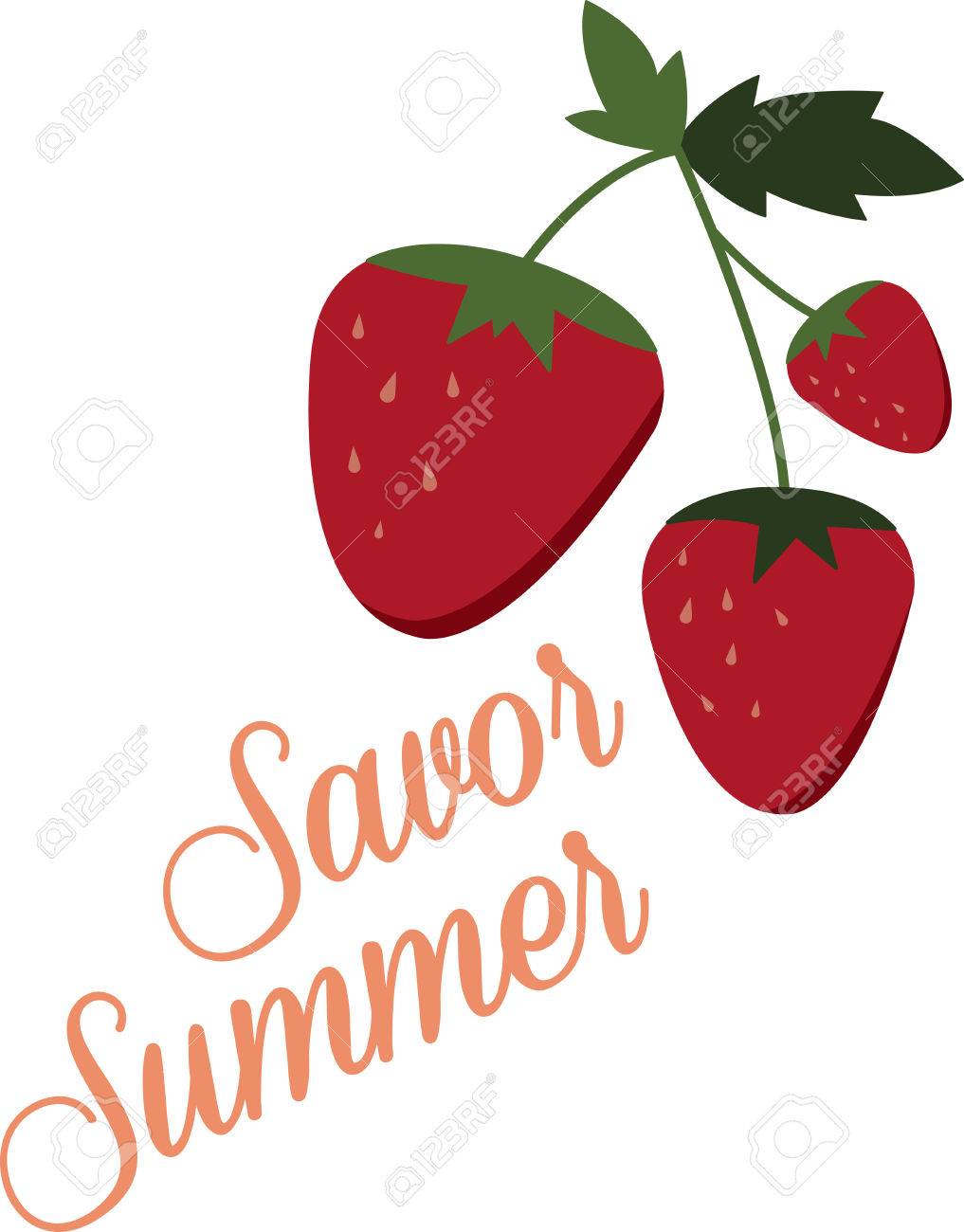 Enjoy Ripe Strawberries Vector - Little screams summer quite like the sweet scent and ripe taste of fresh, plump strawberries. Enjoy the harvest with this design on kitchen linen, ...