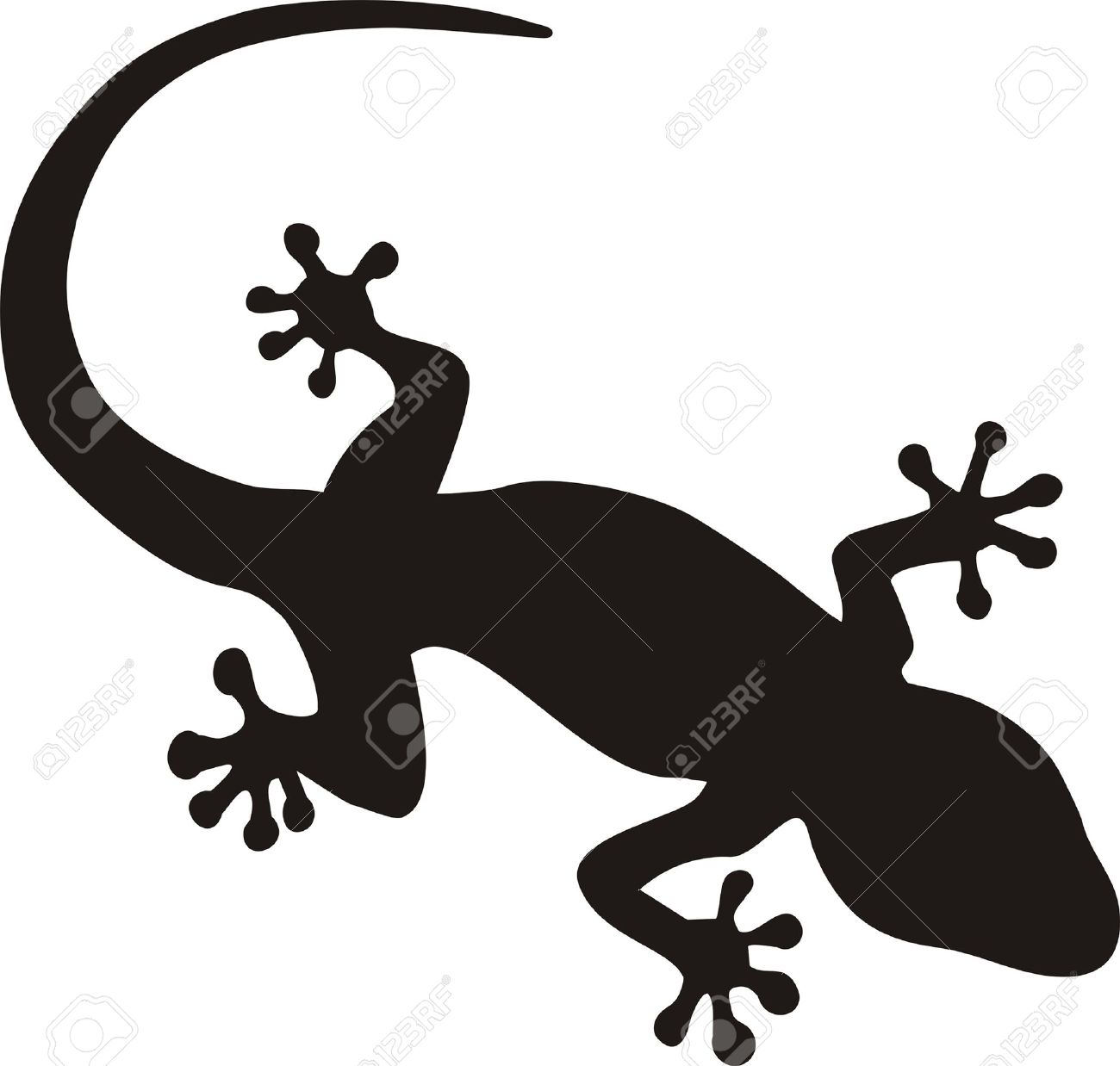 iguana vector