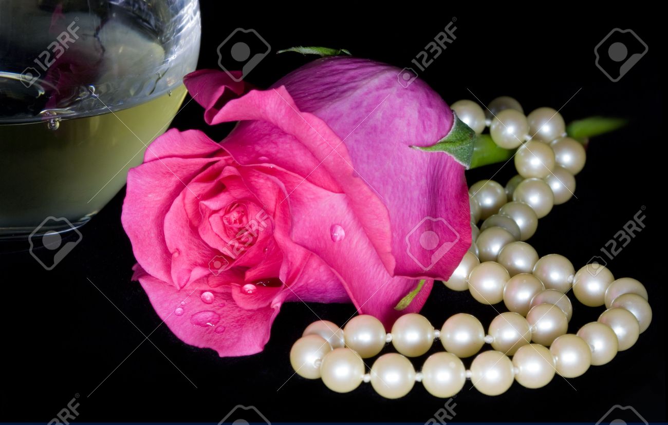 Black And White Pink Rose Black And White Pink Rose