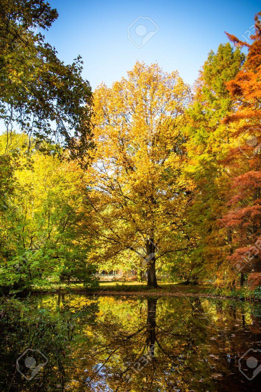 Anta Fall-Hintergründe Anta Fall-Hintergründe