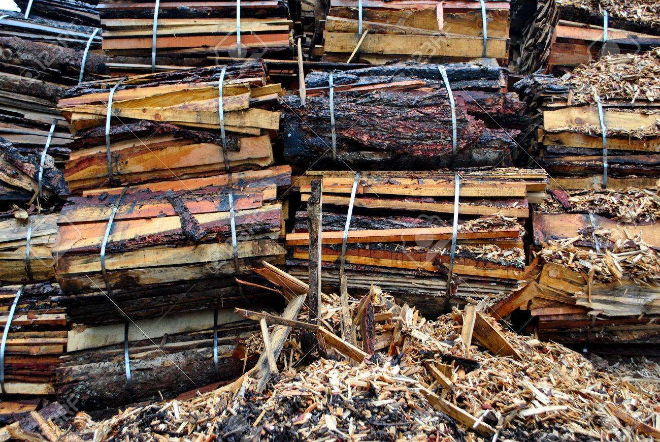 8136754-from-sawmill-waste-beech-wood-Stock-Photo.jpg