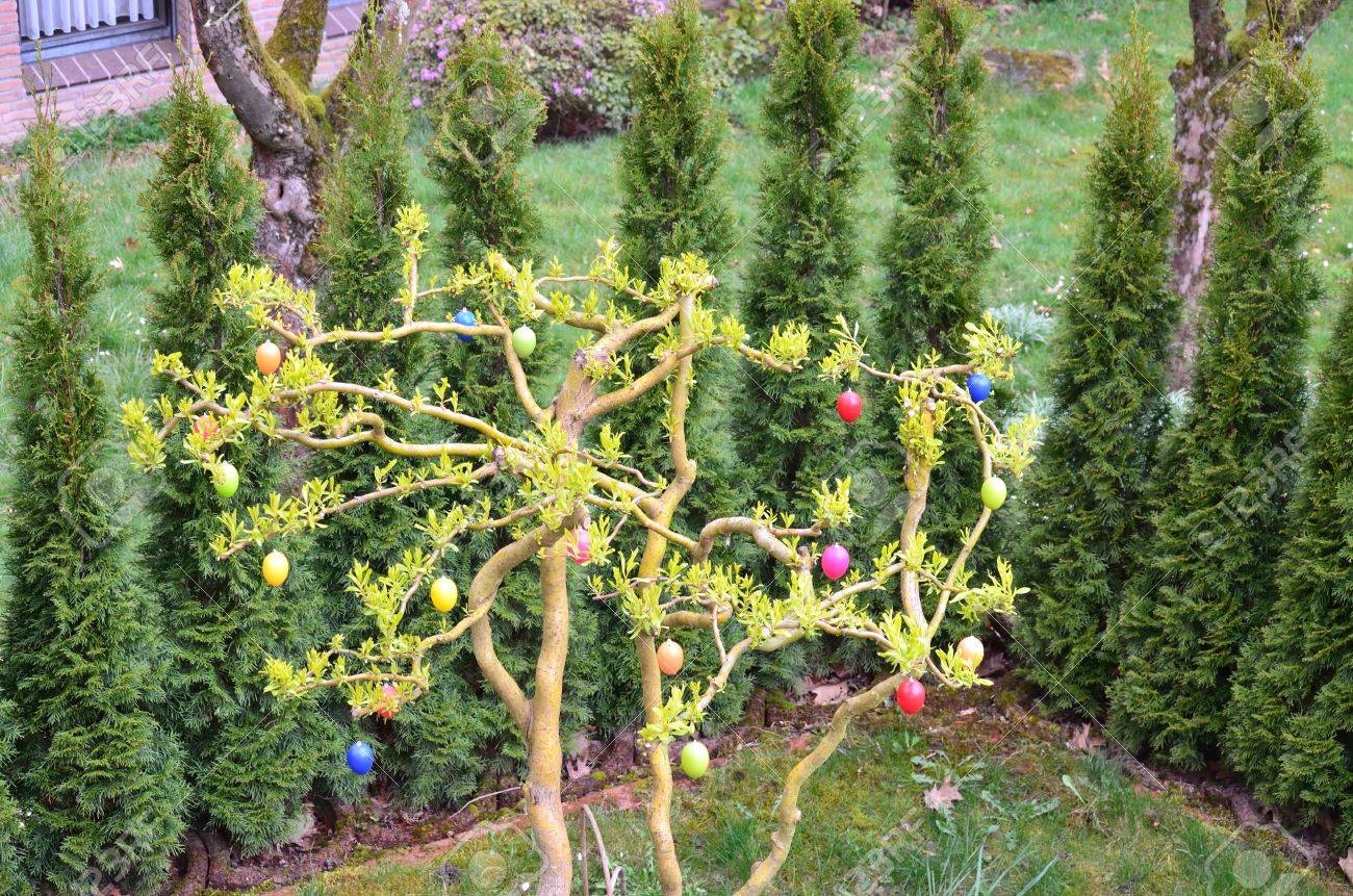 Tedesco tradizione cespuglio fiorito con uova di pasqua decorate ... Decorazioni decorazione Giardino