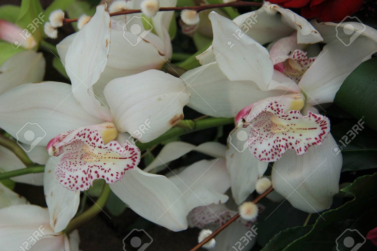 White Cymbidium Orchid Bouquet White Cymbidium Orchid Bouquet