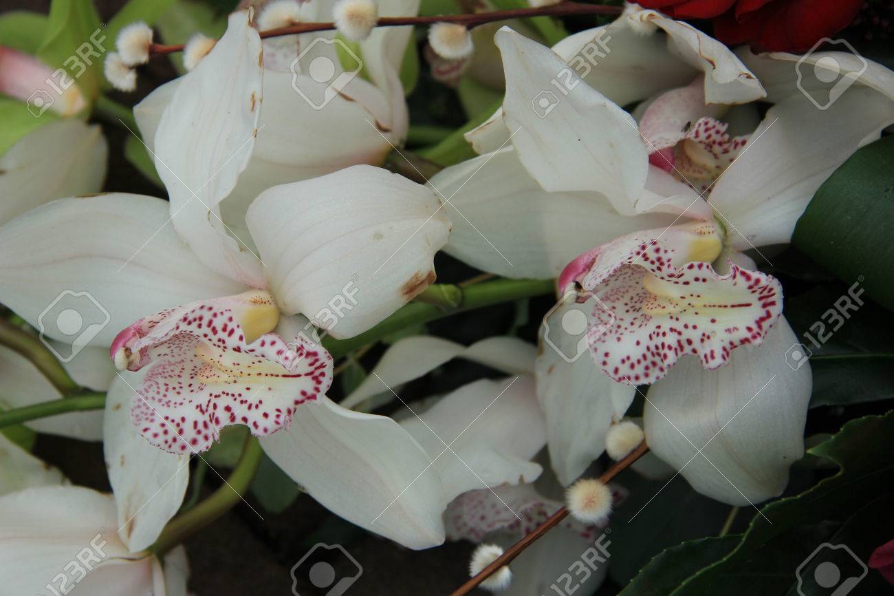 White Cymbidium Orchid Bouquet