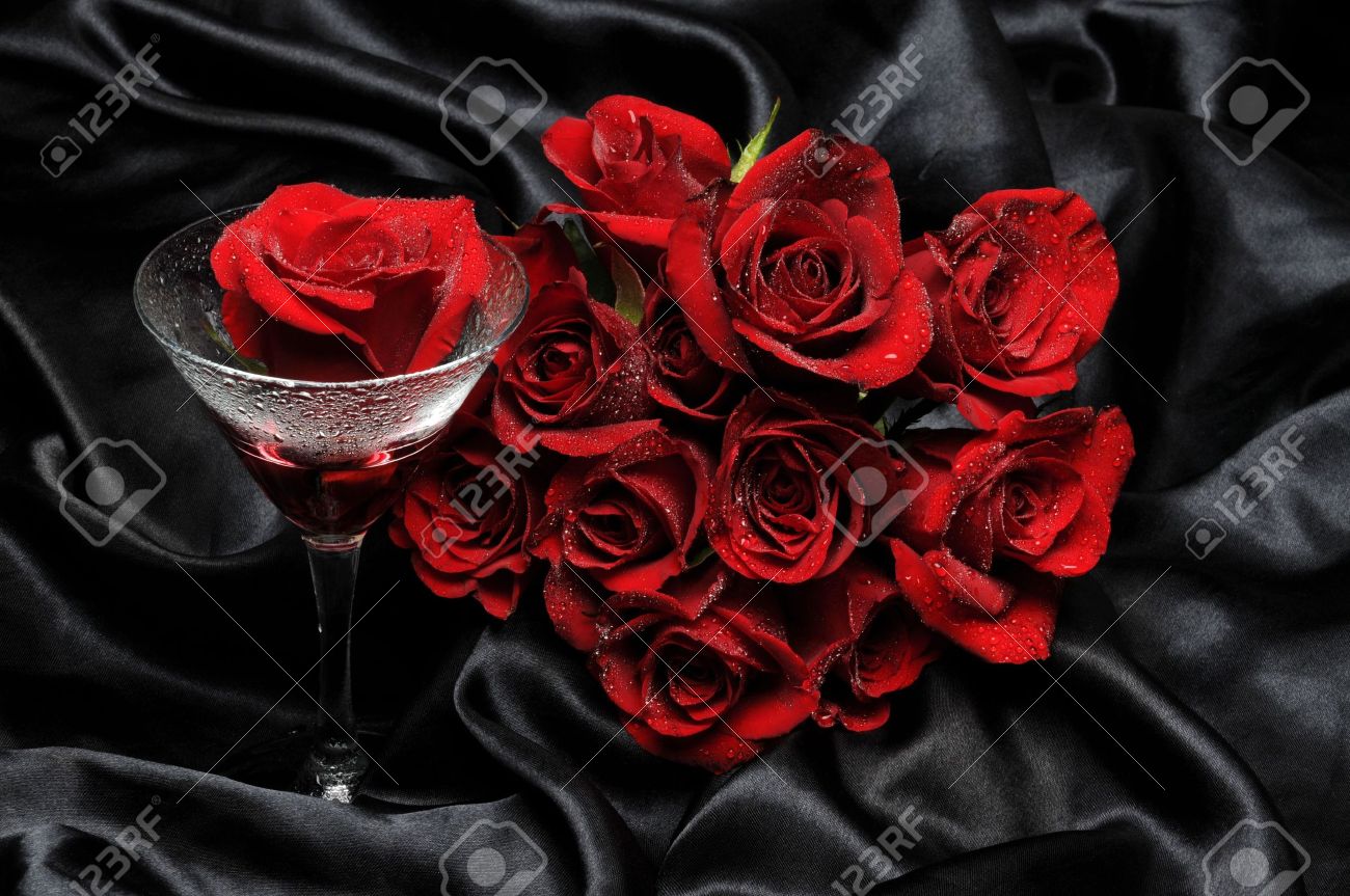 Black And Red Rose Black And Red Rose