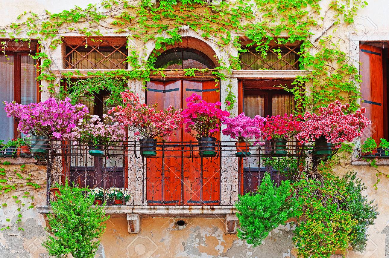 Apartment balcony garden: apartment balcony vegetable garden ...