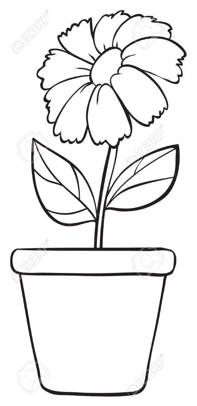 Easy Flower Drawing Outline