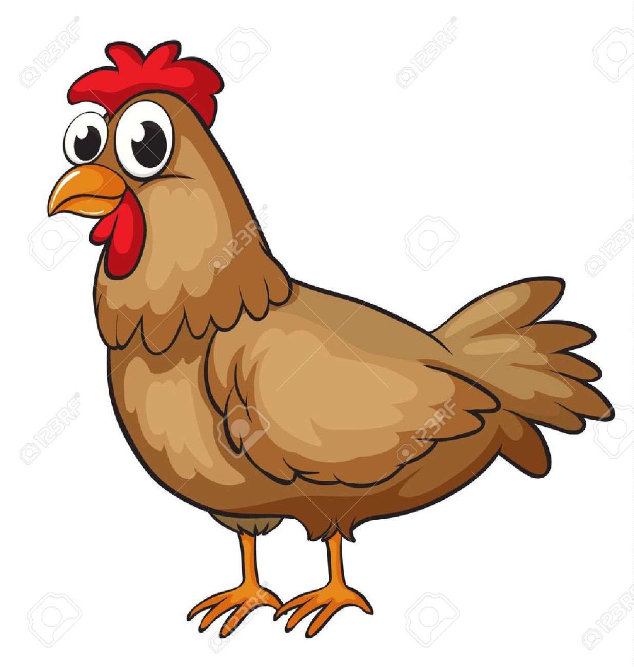 خروس