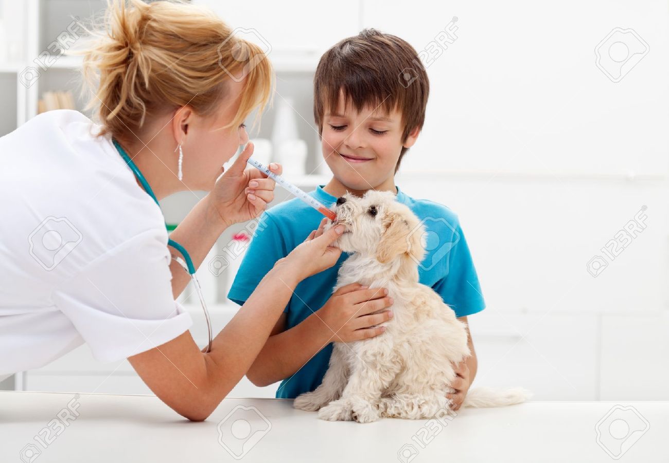 Veterinary Marketing Gurus