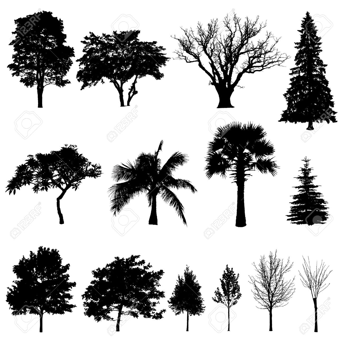 14234397-collection-of-tree-silhouettes-