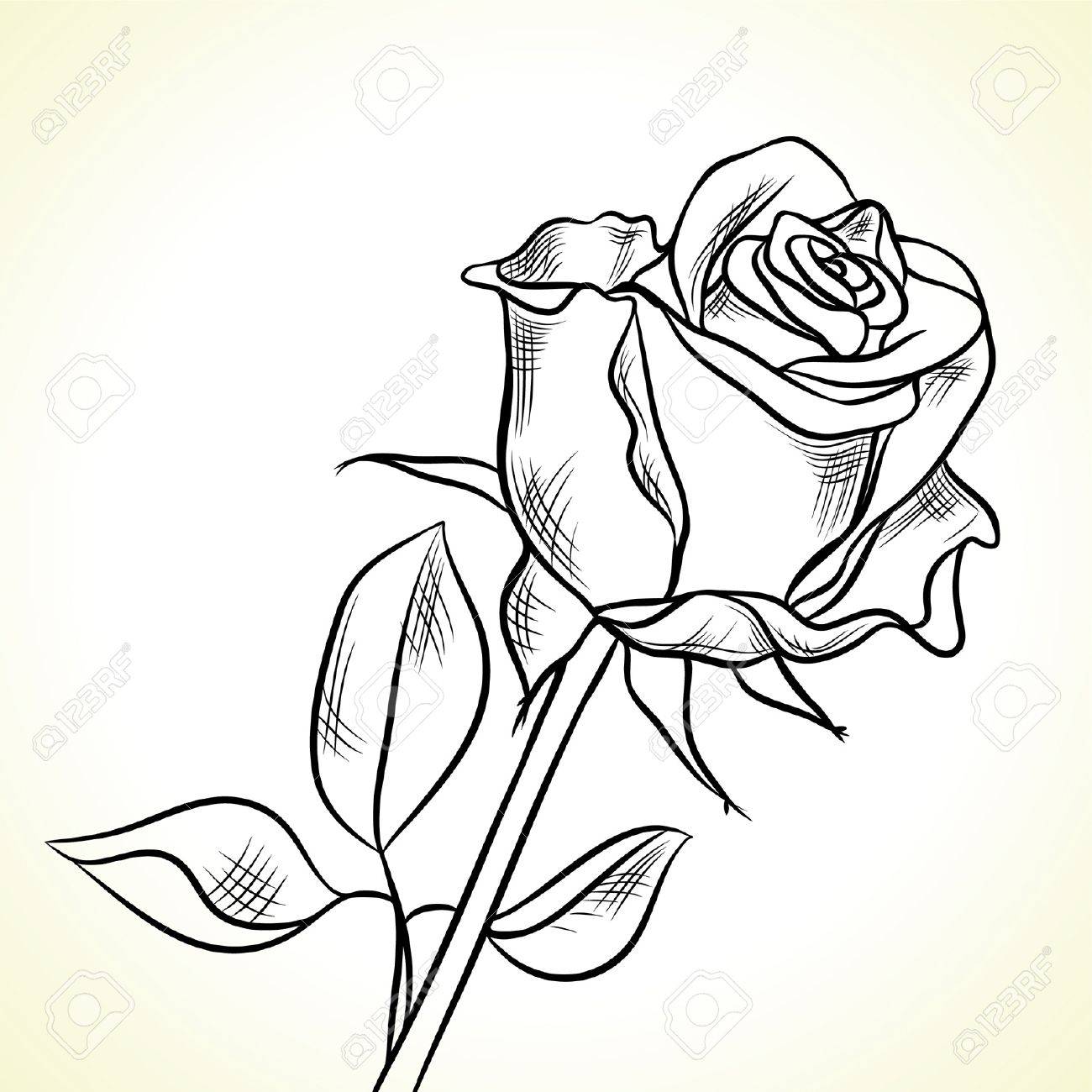Single Black Rose Drawings Single Black Rose Drawings