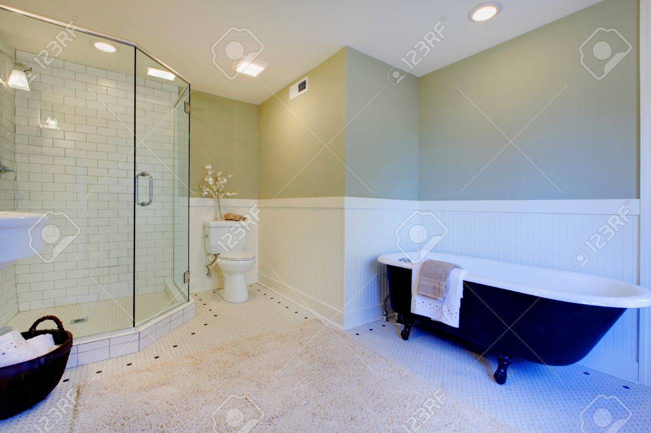 Salle de bains de luxe avec baignoire fer et douche à l'italienne ...
