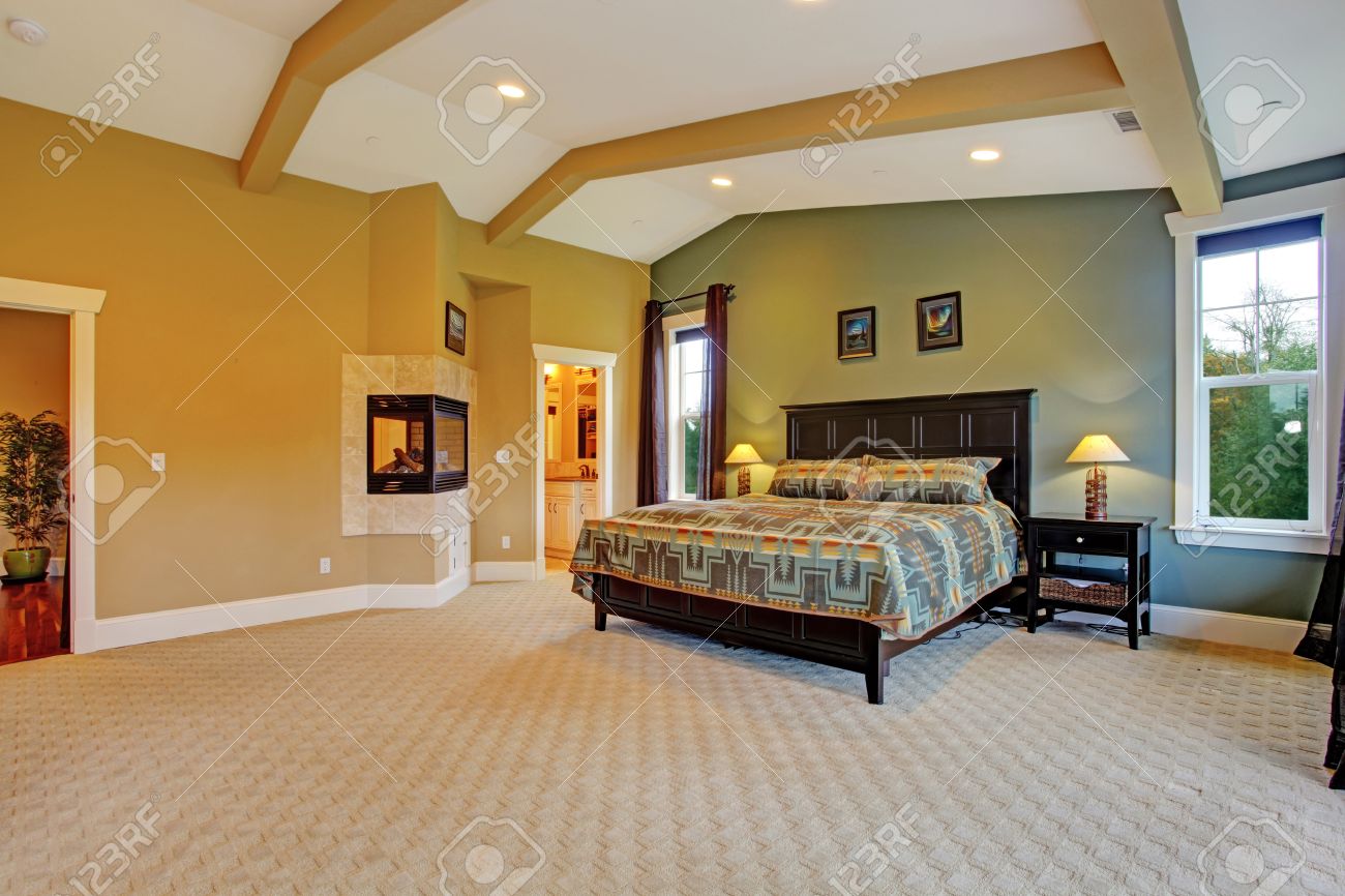 Ruime slaapkamer met hoge verzonken plafond, beige tapijt vloer en ...