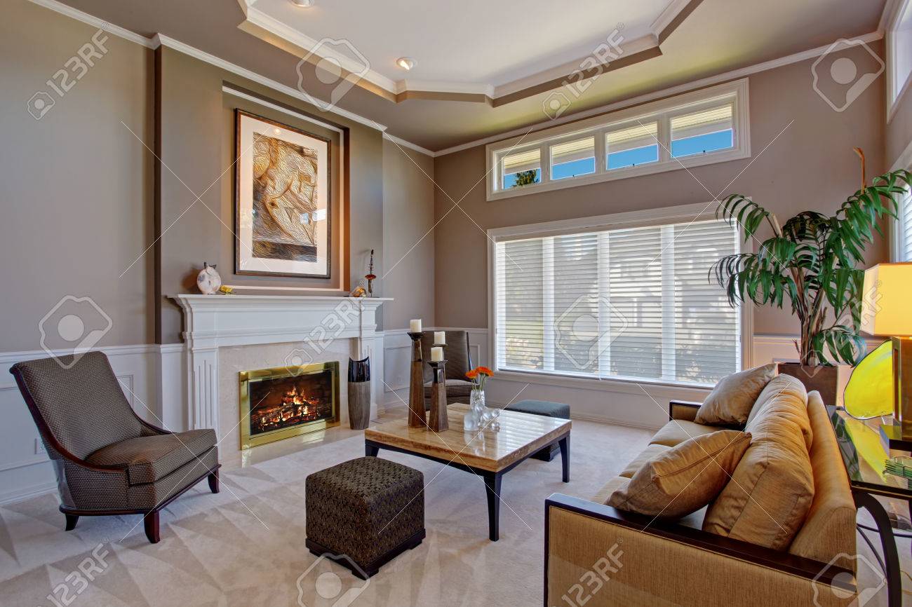 Luxe gezellige woonkamer met open haard, bruine bank en palmboom ...