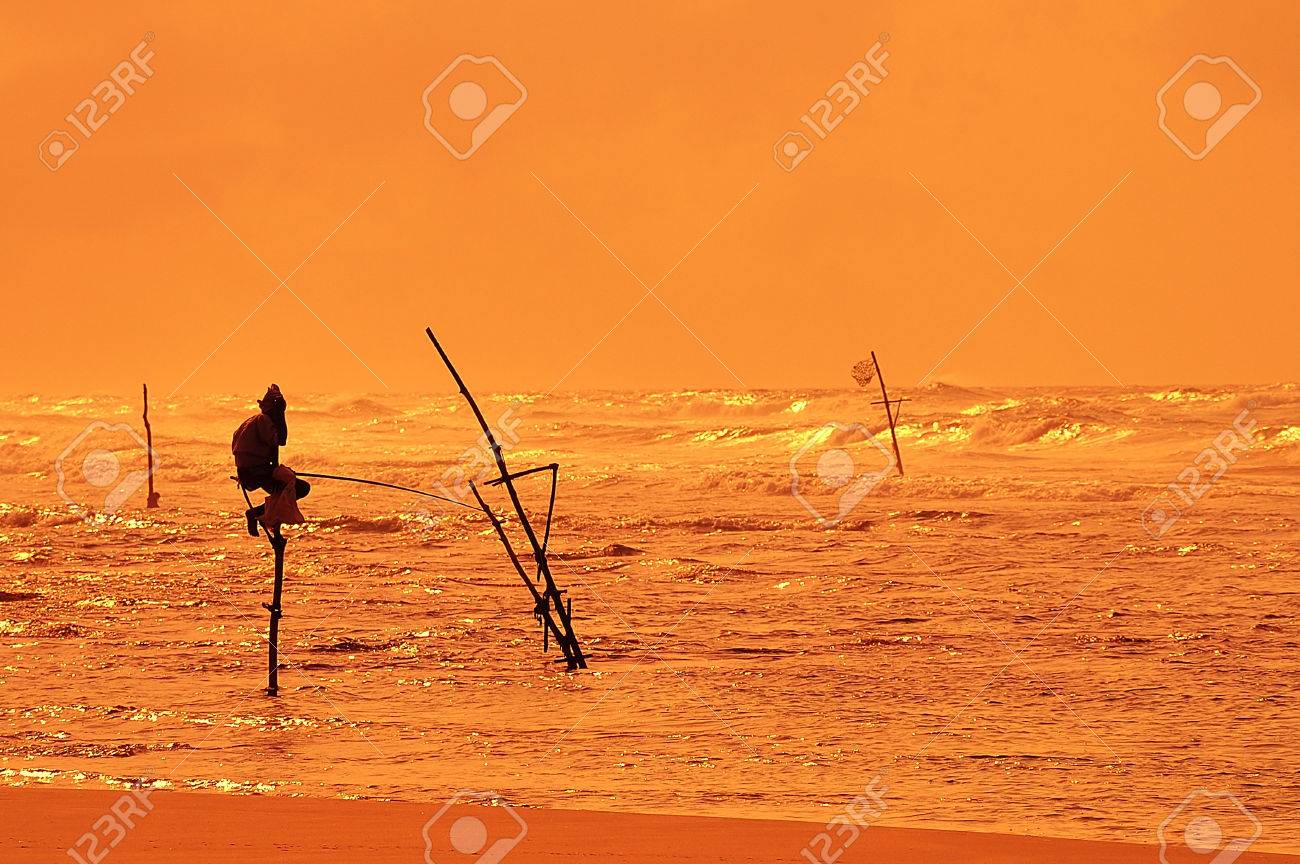 My Country Sri Lanka Essay
