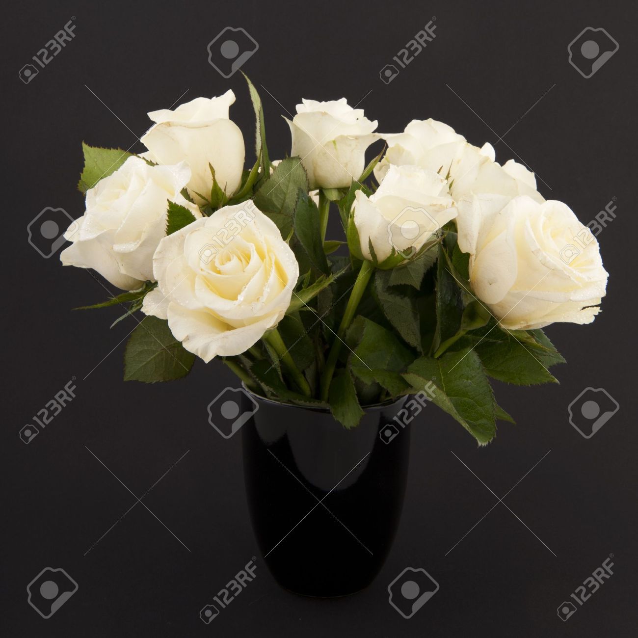 Single White Rose In Vase