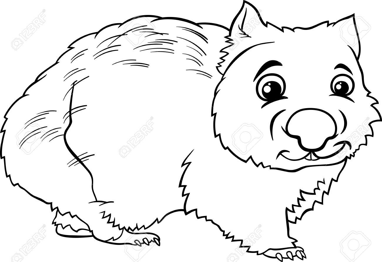 Coloring Pages Wombat Coloring Page wombat coloring page futpal com futpal