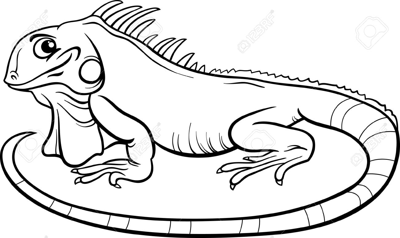 Http Previews 123rf Com Images Izakowski Izakowski1407 Izakowski140700128 30222846 Black And White Cartoon Illu Iguana Black And White Cartoon Coloring Pages