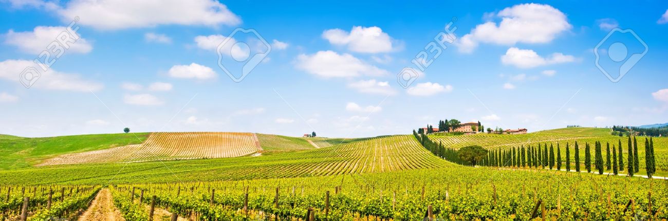 19124617-Panoramic-view-of-scenic-Tuscan