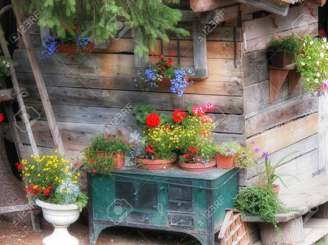 Beautiful Cottage Flower Garden