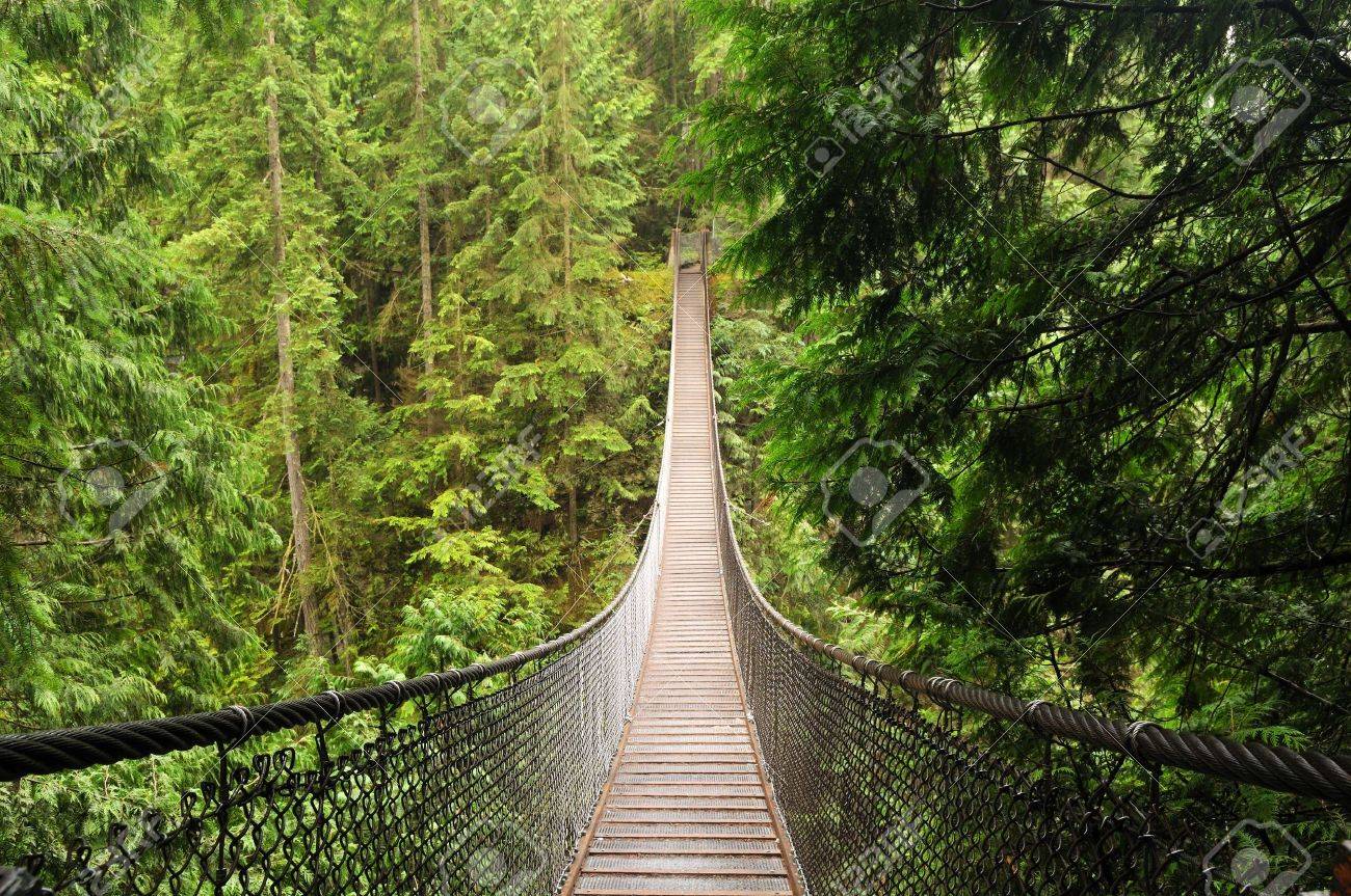 Suspension bridge vancouver free