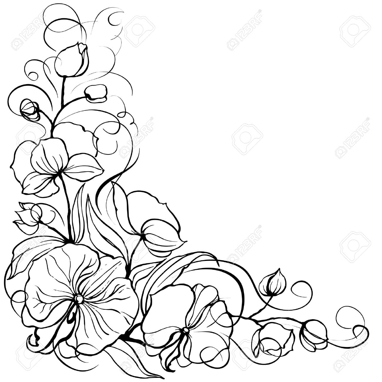 White Orchid Clipart