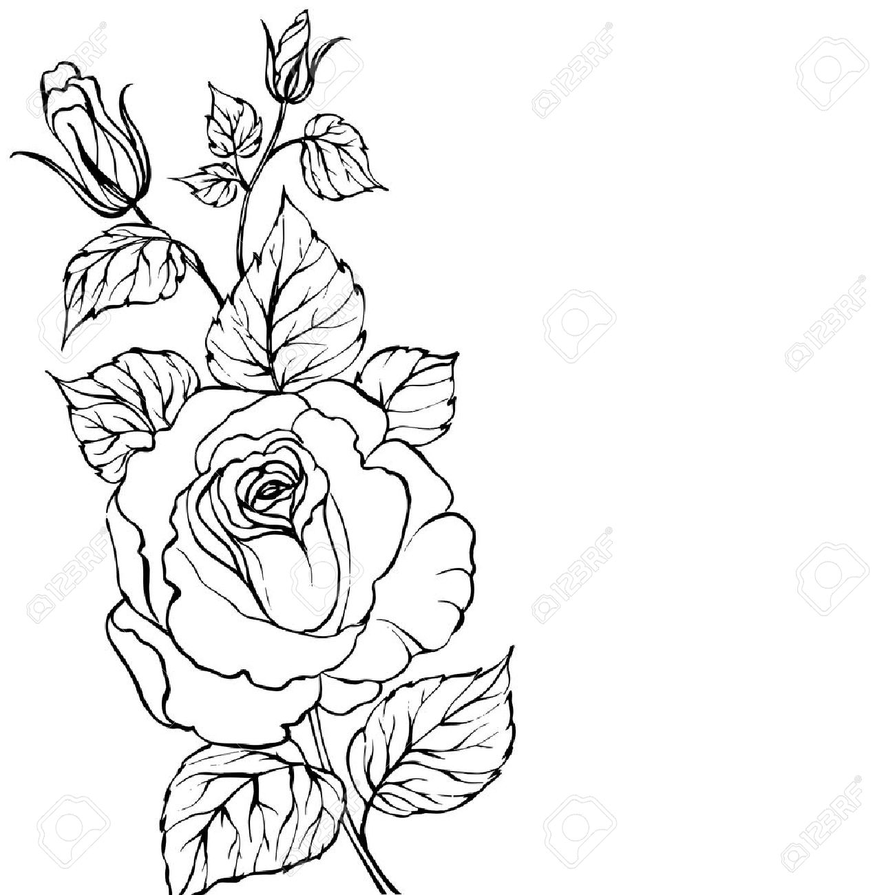 Rose Artwork Tattoo Rose Artwork Tattoo