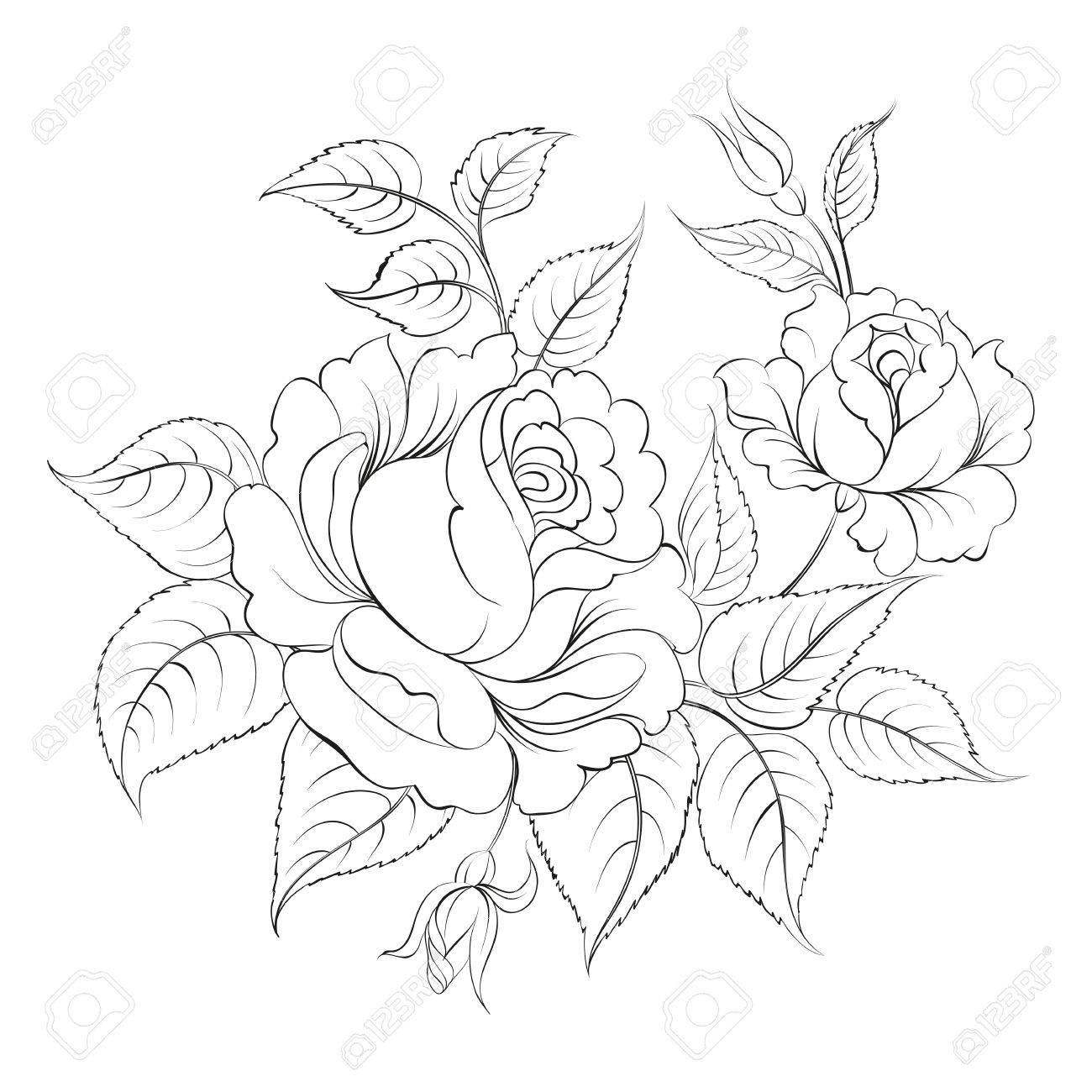 Single Black Rose Drawings Single Black Rose Drawings
