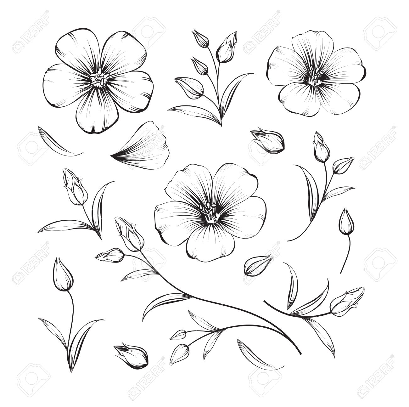 45576877 Collection Of Sakura Flowers Set Cherry Blossom Bundle Black Flowers Of Sak Tatuagem De Flores Desenhos De Tatuagem De Flor Tatuagem De Fenix Feminina