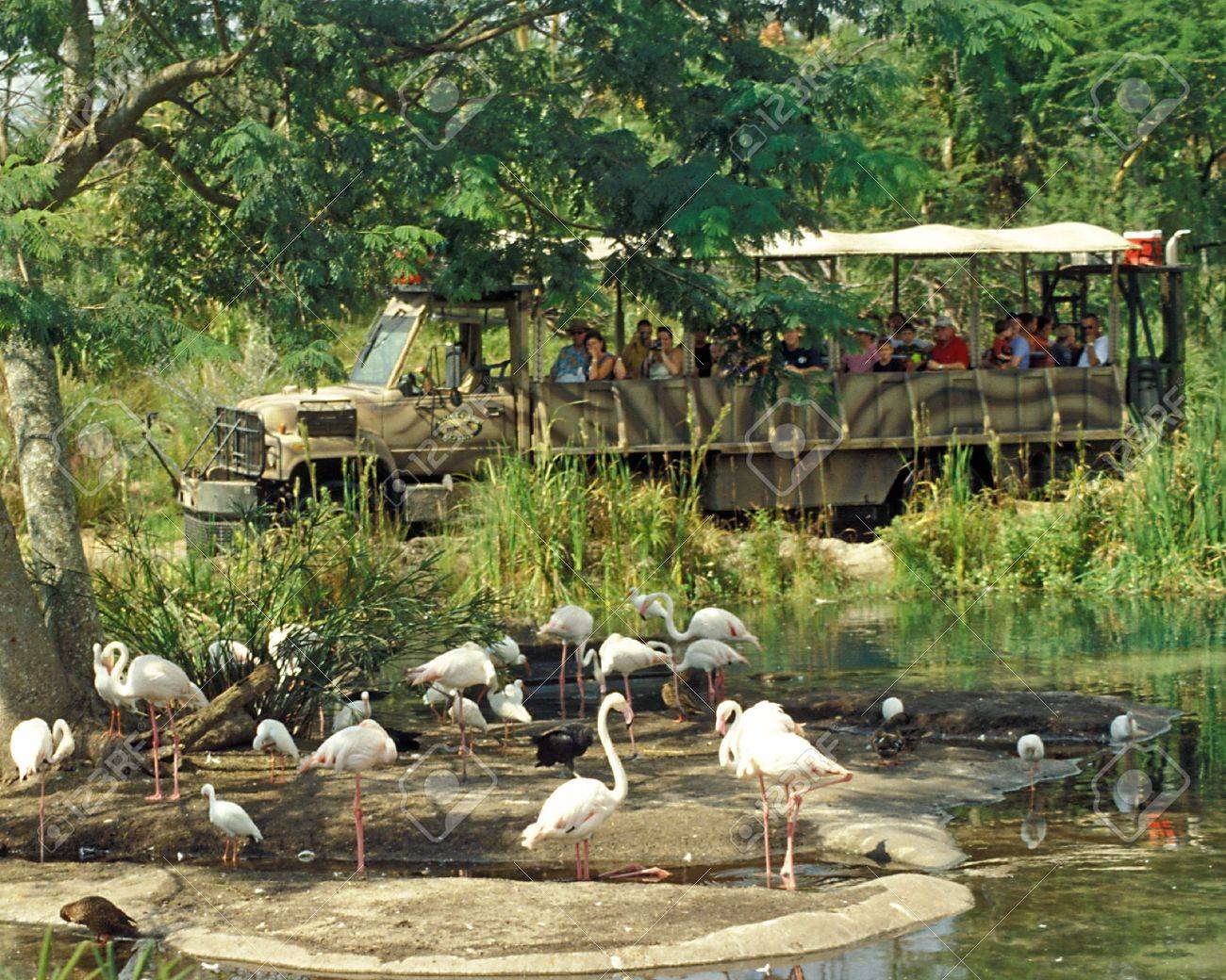 Wild animal kingdom orlando florida