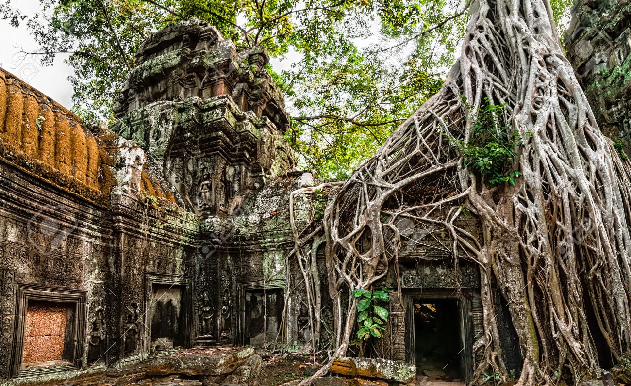 http://previews.123rf.com/images/lakhesis/lakhesis1405/lakhesis140500020/28232629-Ancient-Khmer-architecture-Ta-Prohm-temple-with-giant-banyan-tree-at-Angkor-Wat-complex-Siem-Reap-Ca-Stock-Photo.jpg