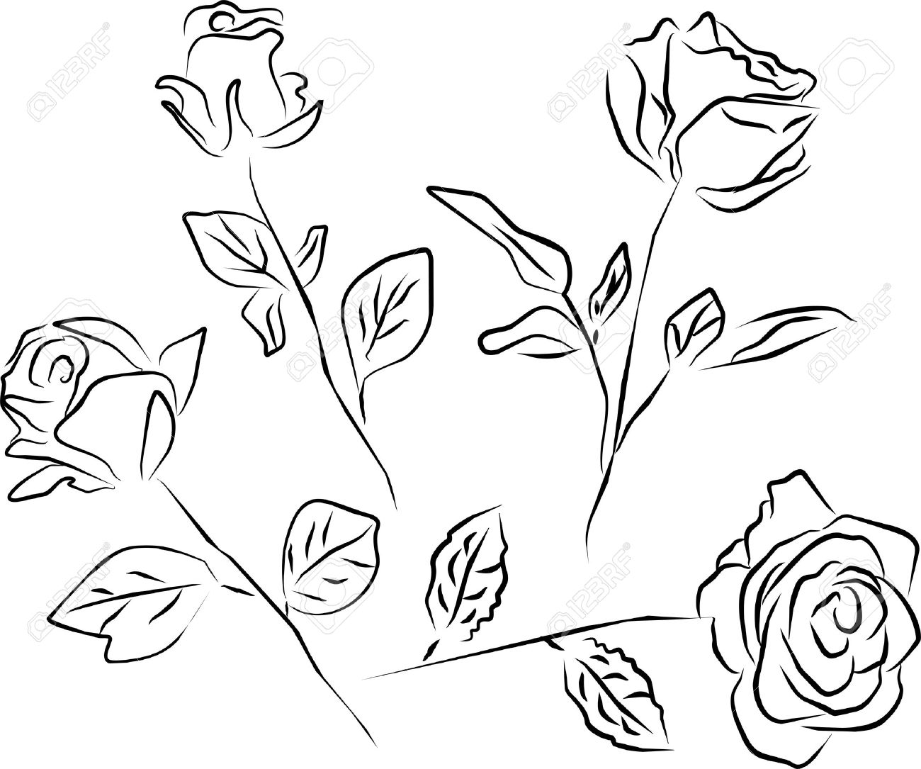 Rose Black And White Outline